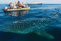 Kolumbien & Ecuador - Motorradtour mit Galapagos-Evolutionstour